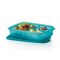 Large Container